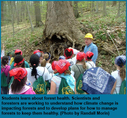 Students learn about forest health